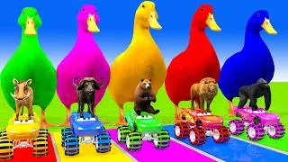 Thumbnail: 5 Giant Duck Cartoon,Cow,Elephant,Tiger,Lion,Dinosaur,Paint Wild Animals Crossing Fountain Animation