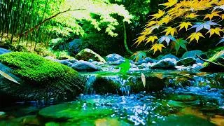Thumbnail: NO ADS,Fall Into Deep Sleep with Light Rain on Forest river | Best Nature Rain Sounds for Relaxation