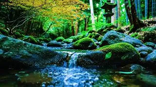 Thumbnail: NO ADS,Fall Into Deep Sleep with Light Rain on Forest river | Best Nature Rain Sounds for Relaxation
