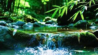 Thumbnail: NO ADS,Fall Into Deep Sleep with Light Rain on Forest river | Best Nature Rain Sounds for Relaxation