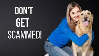 Thumbnail: Complete Puppy Buying Guide: How to Choose a Healthy, Ethical Dog