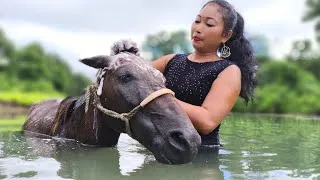 Thumbnail: My Horse, My Village Life 🐎🌾 | Real Rural Horse Life