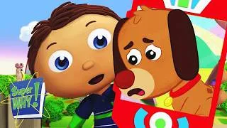 Thumbnail: Lonely Dog Rescue! Finding New Best Friends! | Super Why - WildBrain | Full Episodes for Kids