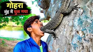 Thumbnail: गोहरा मुंह में घुस गया! 😱 suraj_kushwaha