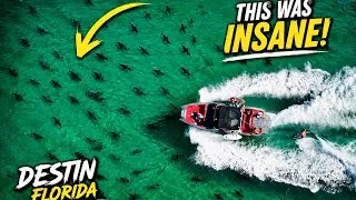 Thumbnail: Wake Surfing Over Hundreds of Sharks Near Crab Island Destin Florida Emerald Coast Drone 