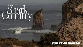 Thumbnail: Shark Country