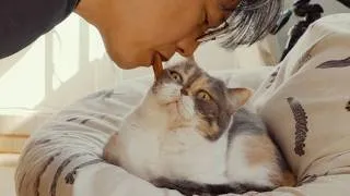 Thumbnail: 고양이처럼 집사가 핥아주면 좋아할까?