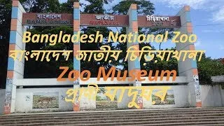 Thumbnail: Beauties of Bangladesh National Zoo || Bangladesh National Zoo Museum