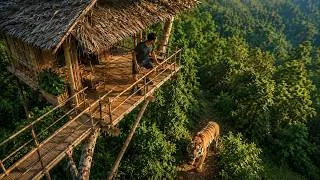 Thumbnail: Alone in the Jungle: Building a High Survival Shelter Above the Dangers Below
