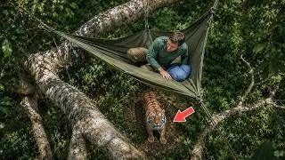 Thumbnail: Alone in the Jungle: Tree Camping Above the Wild Dangers Below