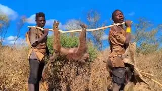 Thumbnail: The Hadzabe people's traditional hunting style: Confronting the buffalo.
