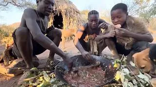 Thumbnail: How do African tribes hunt wild animals?