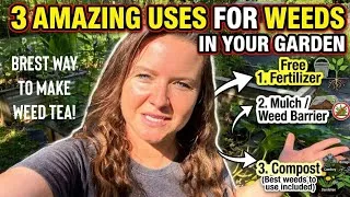Thumbnail: 3 Amazing Free Uses For Weeds in Your Garden! Best Way to Make Weed Tea Fertilizer 