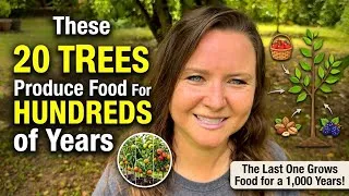 Thumbnail: 20 Trees That Produce Food For Hundreds of Years! + One That's Immortal! 
