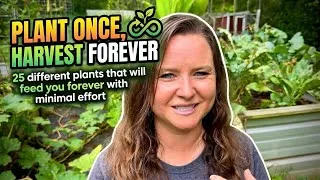 Thumbnail: 25 Plants That Will Produce Food FOREVER, Once You Plant Them!