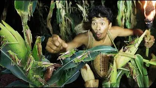Thumbnail: survival in the rainforest- cooking grasshopper with salt recipe