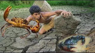 Thumbnail: survival in the rainforest - Catch the crab in the mud - Eating Delicious