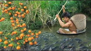 Thumbnail: Fishing spotted oranges , Along the river full of oranges