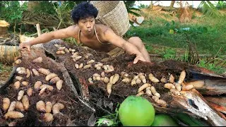 Thumbnail: Find worms in coconut tree , Cook Coconut worm Fillets delicious