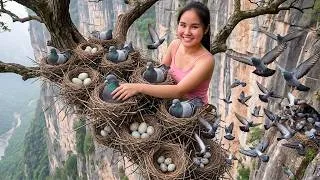 Thumbnail: [TIMELAPSE] Harvesting 100+ Giant Pigeon Nest on a Cliff Tree to Sell at the Market | Phương's Story