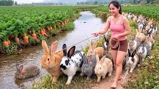 Thumbnail: [TIMELAPSE] Harvesting Giant Rabbit Foraging in the Carrot Field to Sell the Market | Phương's Story