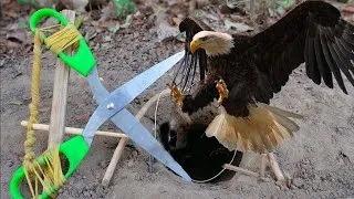 Thumbnail: Survival Life - Easy Trick Catching Bird with Creative Hand Trap Working 10000%