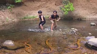 Thumbnail: Life in jungle, Eel soup chili tasty for Eating delicious with sister