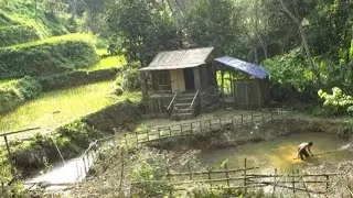 Thumbnail: Time Lapse Video Build Bamboo House In The Forest, And Water To The Pond, From Start To Finish