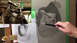 Thumbnail: Cricklewood Camp 2026: Working On A Great Horned Owl With Graphite Pencils