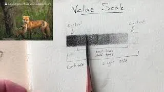 Thumbnail: Cricklewood Camp 2026: Value, Form, and Texture... Oh, My!