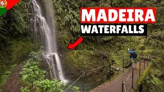 Thumbnail: Madeira is this the best waterfall hike? | The REAL levado's