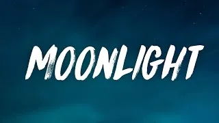 Thumbnail: dhruv - moonlight (Lyrics)