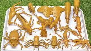 Thumbnail: Exploring the Amazing World of Tree Insects, Bugs & Safari Zoo Animals 🐞🐘🌿