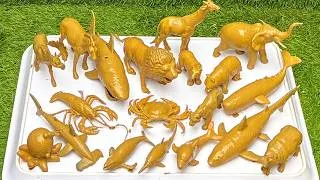 Thumbnail: Unraveling the Secrets of Ocean Predators and Gentle Jungle Creatures!