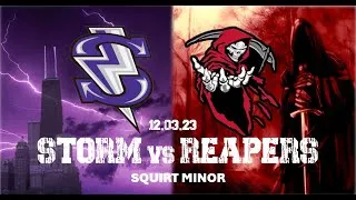 Thumbnail: 12/03/23 - Windy City Storm VS Chicago Reapers U9/Squirt Minor