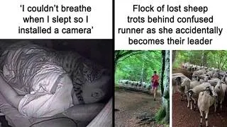 Thumbnail: Wholesome Moments That Prove There’s Still So Much Good in the World