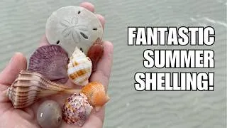 Thumbnail: I identify everything I find on an island, and that island gave me lots of seashells!