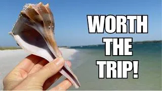 Thumbnail: Island hopping for sea shells. Shell Key and Egmont Key gave me some goodies!