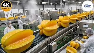 Thumbnail: Inside a Modern Starfruit Factory: From Raw Starfruits to Clear Tropical Syrup (Full Process)