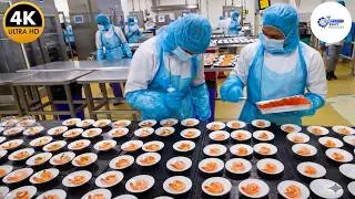 Thumbnail: Inside the Factory: How Qatar Airways Preps 200,000 Meals (Full Process)