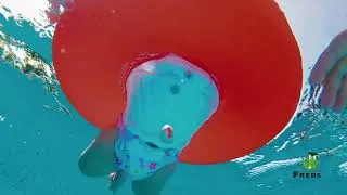 Thumbnail: FREDS SWIM ACADEMY Girls' Reusable Swim Diaper | SwimOutlet.com