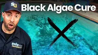 Thumbnail: How to Get Rid of BLACK ALGAE in Your Pool