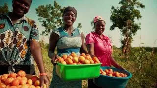 Thumbnail: How Stronger Market Systems Are Transforming Youth Livelihoods in Uganda