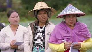 Thumbnail: From Uncertain Harvests to Reliable Export Markets: Strengthening Vegetable Supply Chains in Myanmar