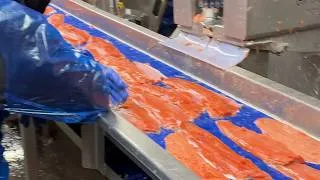 Thumbnail: Drag queen made £3.6k in 2 weeks at Alaskan salmon plant to save for wigs | SWNS
