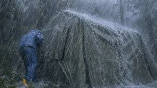 Thumbnail: 🏕️SCARY HEAVY RAIN IN FOREST‼️CAMPING IN HEAVY RAIN FOREST⛈️ RELAXING RAIN SOUND FOR SLEEPING [ASMR]