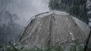 Thumbnail: HEAVY RAIN ALL NIGHT 🌧️ CAMPING IN THE HEAVY RAIN FOREST || RELAXING CAMPING RAIN – ASMR RAIN SOUNDS