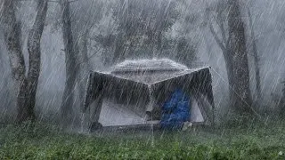 Thumbnail: ENJOYING BAD WEATHER IN VERY HEAVY RAIN ‼️CAMPING IN HEAVY RAIN⛈️ [Shooting sound of rain 🎧]