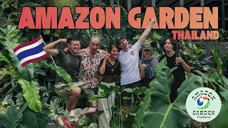 Thumbnail: Amazing Collection of Monstera species & so much more at Amazon Garden Thailand