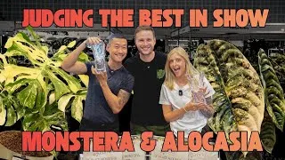 Thumbnail: Monsteras & Alocasias of the Future with @KayleeEllenOfficial & @onlyplants